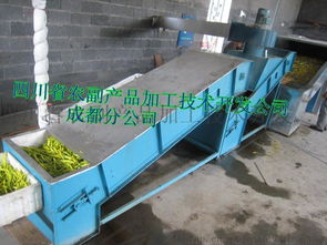 高效農(nóng)業(yè)加工利器 黃花菜蒸煮機(jī)與果蔬烘干機(jī)的應(yīng)用