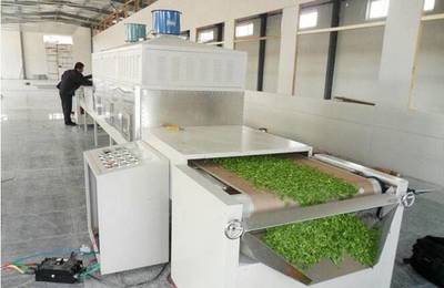 微波蔬菜烘干機 果蔬脫水干燥與殺菌的現代化設備