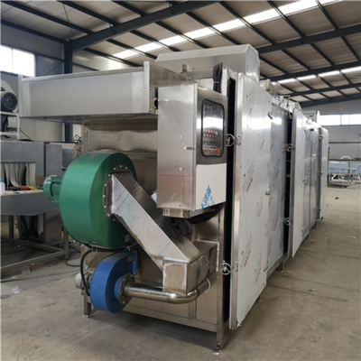 SDN-800果蔬烘干機 健康飲食的得力助手